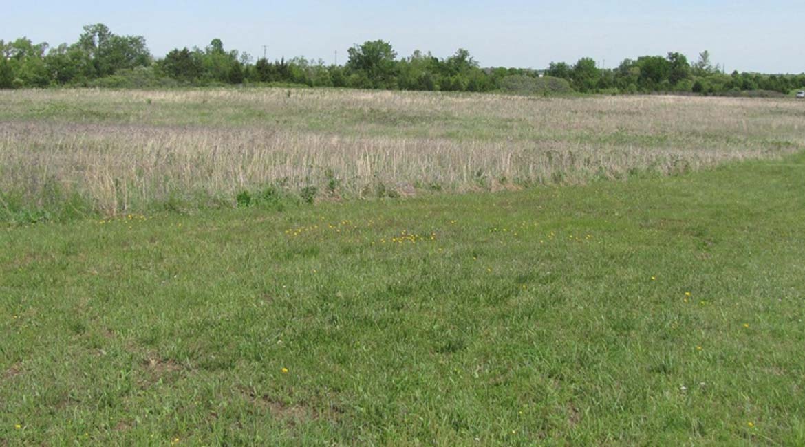 Oologah, OK