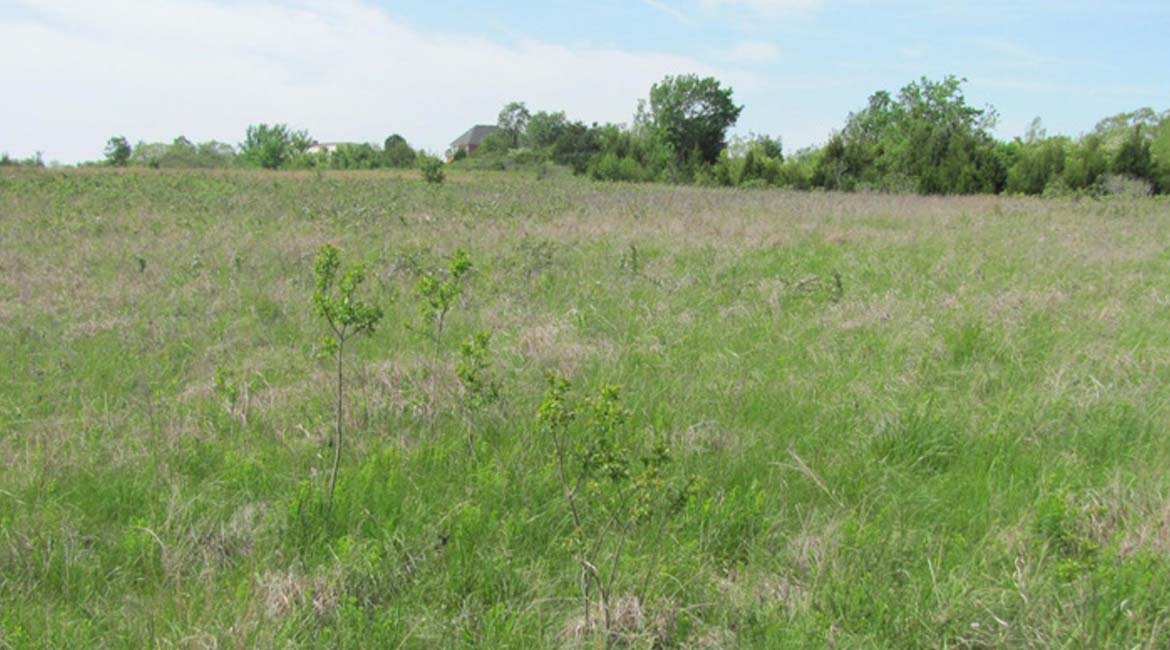 Oologah, OK