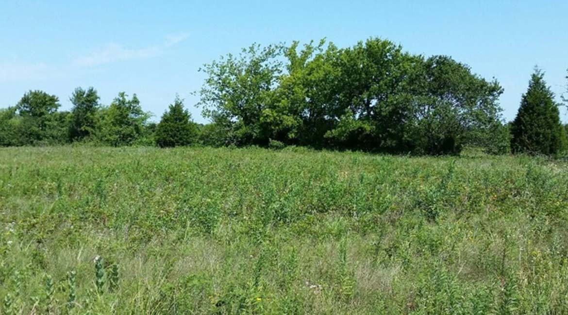 Oologah, OK